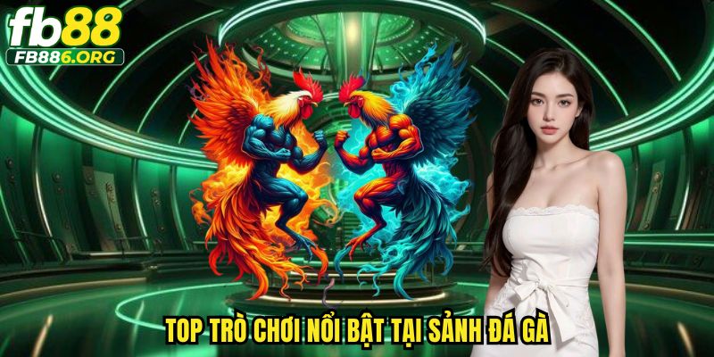 Đá Gà Fb88 - Sảnh Cược Đỉnh Cao Cho Tín Đồ Mê Đá Gà - SIJODE.NEWS
