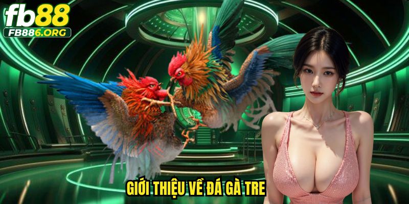Đá Gà Tre FB88 - Trải Nghiệm Cá Cược Sinh Động, Đã Tay - SIJODE.NEWS