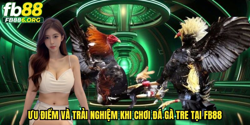 Đá Gà Tre FB88 - Trải Nghiệm Cá Cược Sinh Động, Đã Tay - SIJODE.NEWS
