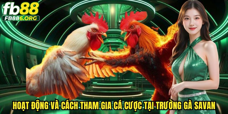 Trường Gà Savan FB88 - Thiên Đường Cá Cược Trải Nghiệm Đỉnh Cao - SIJODE.NEWS