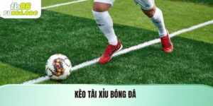 Tin Tức FB88 - fb886.org - SIJODE.NEWS