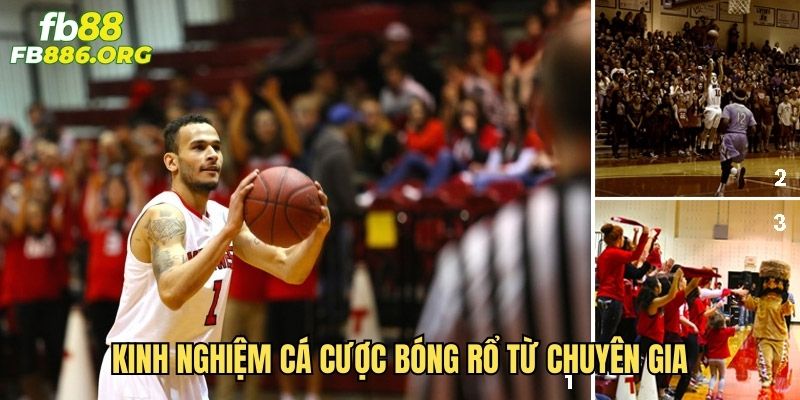 Cá cược bóng rổ - Hướng dẫn chi tiết từ A đến Z - SIJODE.NEWS