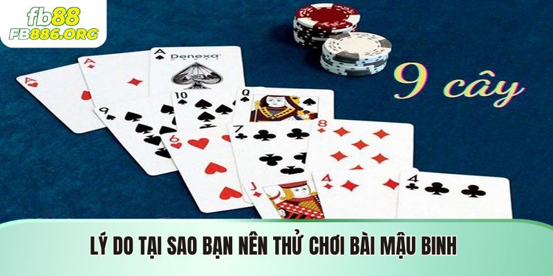 Bài Mậu Binh FB88 - Hướng Dẫn Chi Tiết Và Chiến Thuật Chơi - SIJODE.NEWS