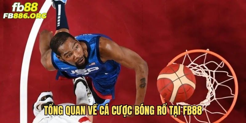 Cá cược bóng rổ - Hướng dẫn chi tiết từ A đến Z - SIJODE.NEWS